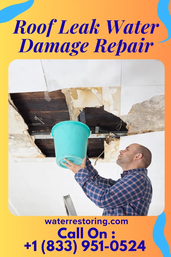 Roof Leak Water Damage Repair in Cascade, ID